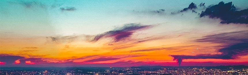 瑞安茶虫网_瑞安品茶